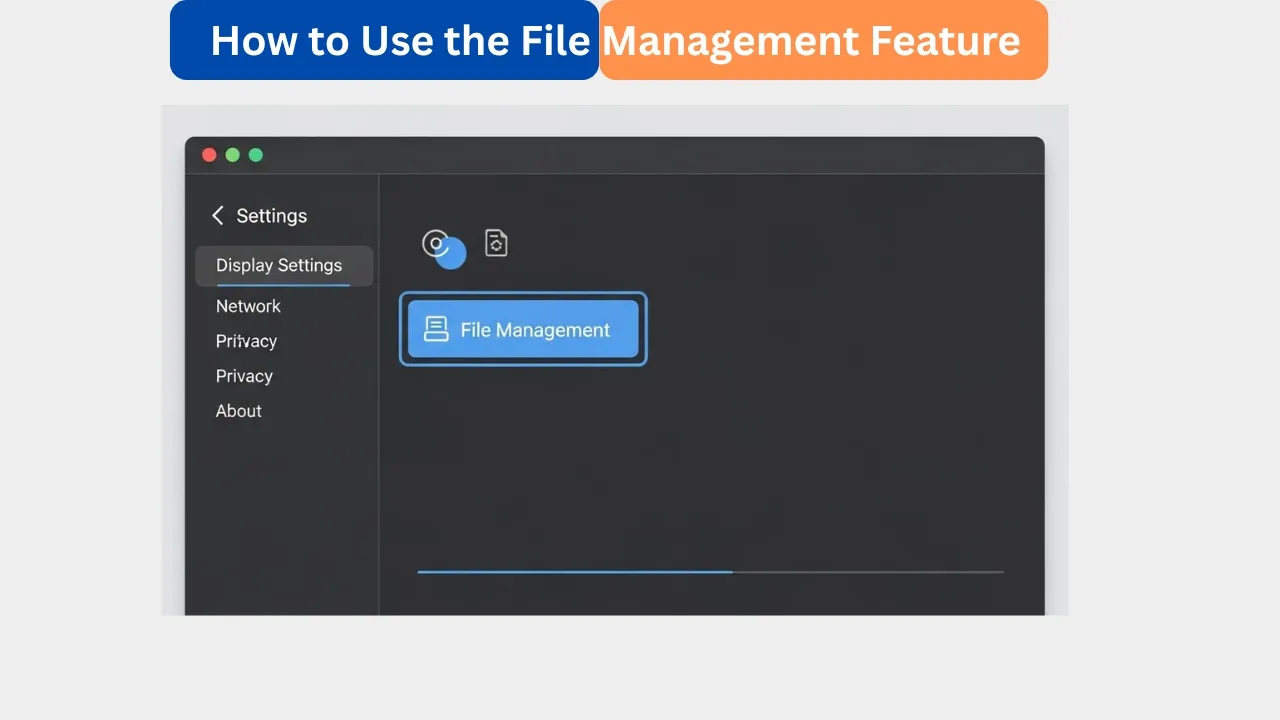 How to Use the File Management Feature - Complete Guide